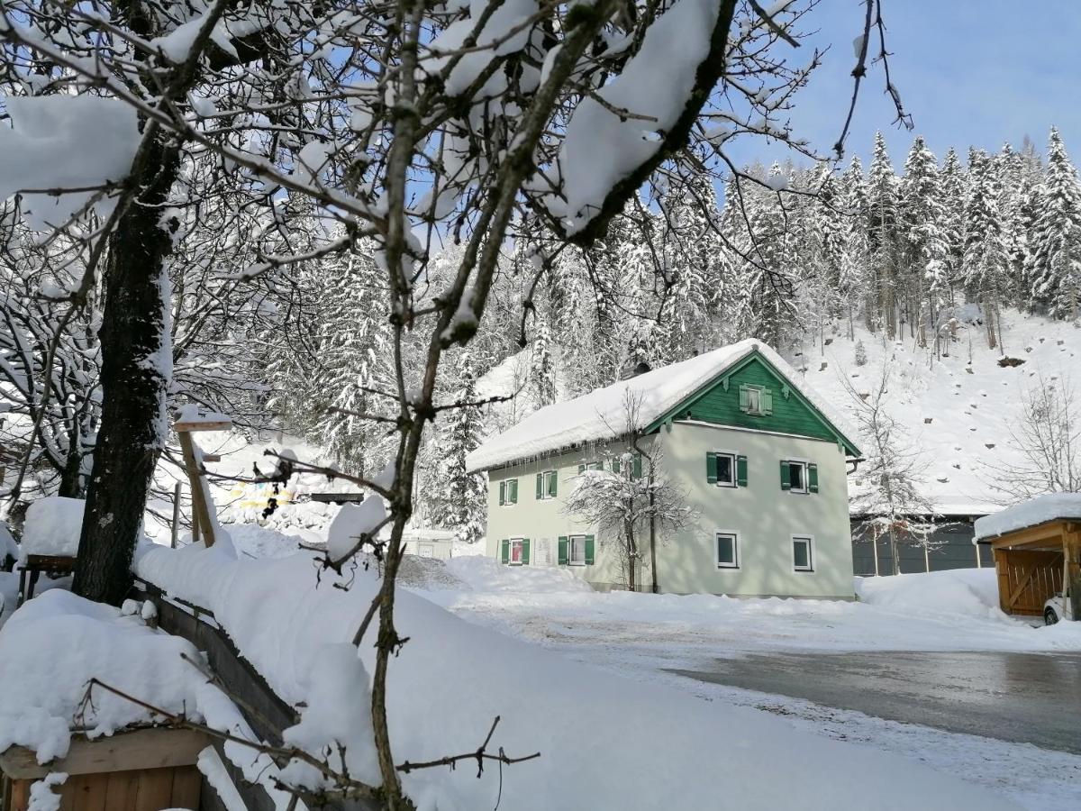 Helle Ferienwohnung Saunahaus Annaberg im Lammertal Exterior foto