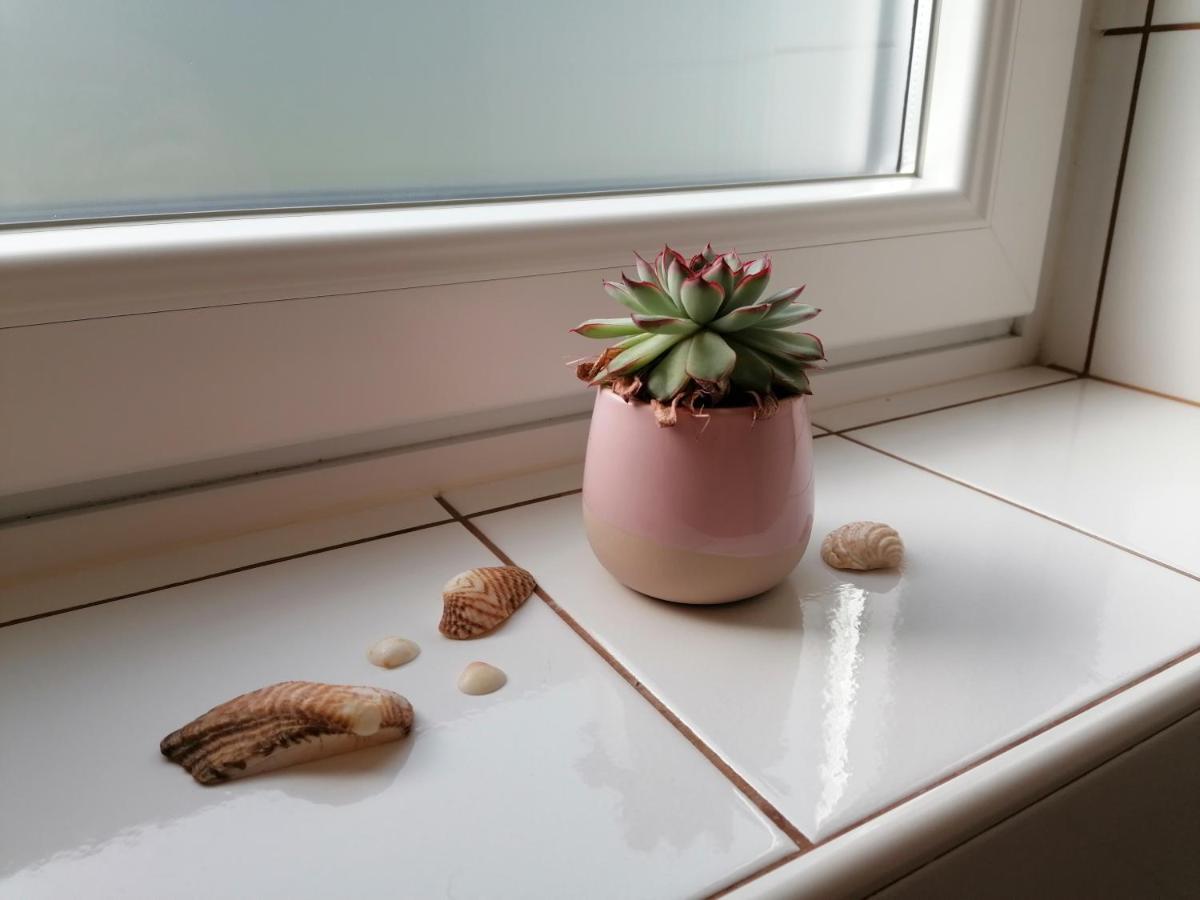 Helle Ferienwohnung Saunahaus Annaberg im Lammertal Exterior foto