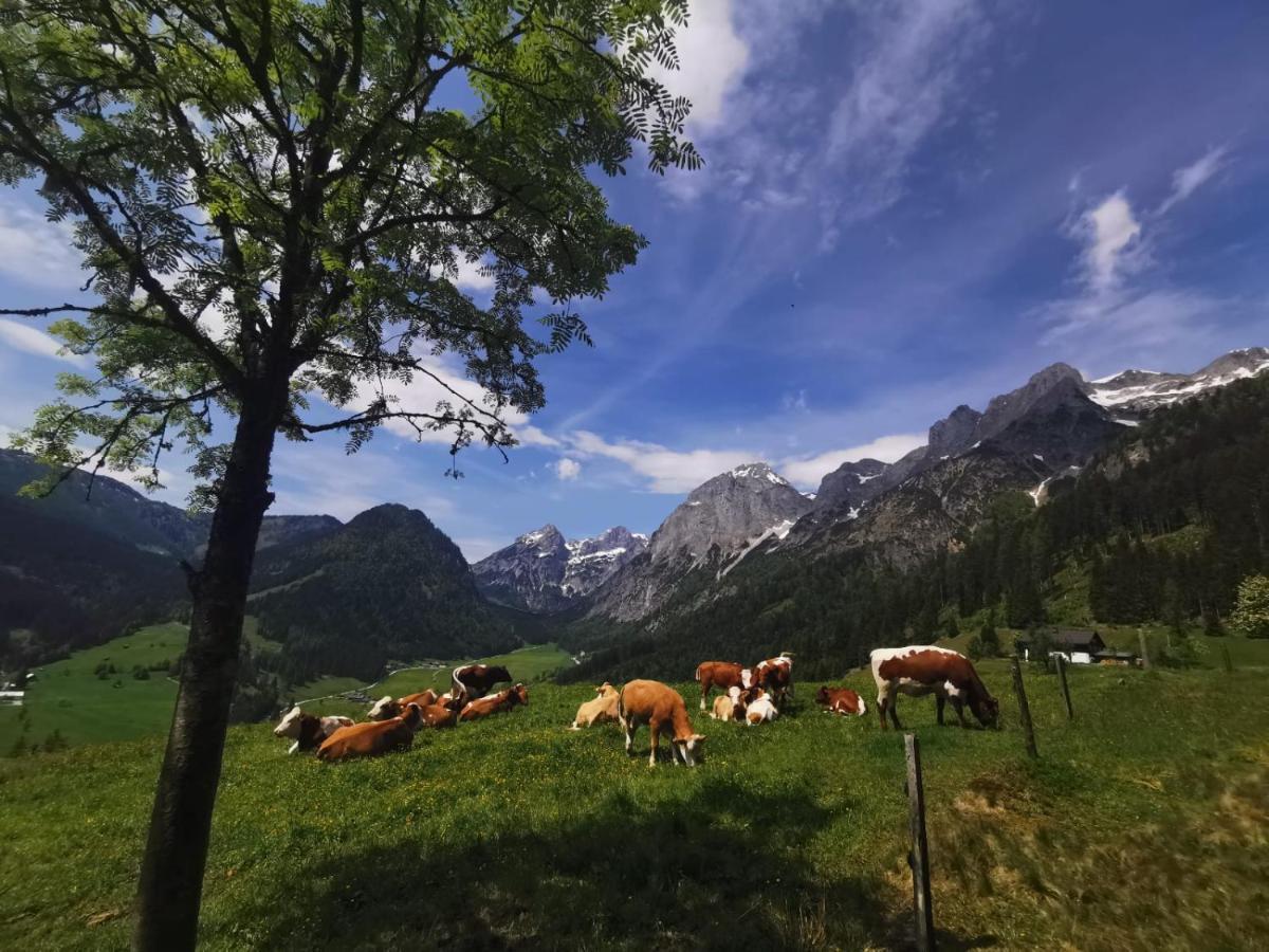 Helle Ferienwohnung Saunahaus Annaberg im Lammertal Exterior foto