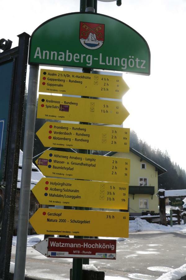 Helle Ferienwohnung Saunahaus Annaberg im Lammertal Exterior foto
