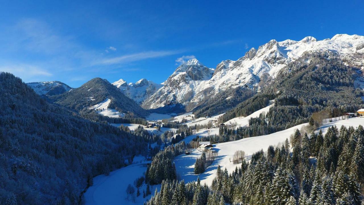 Helle Ferienwohnung Saunahaus Annaberg im Lammertal Exterior foto